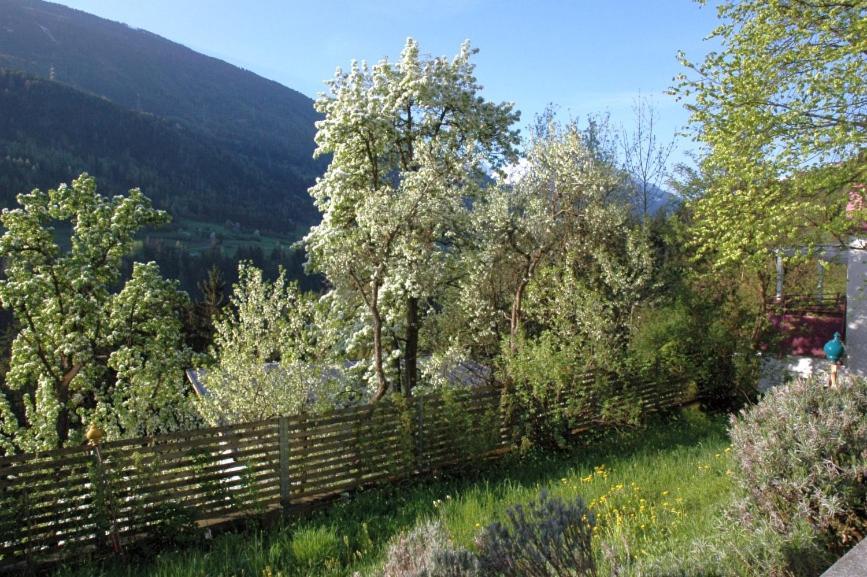 Studio Ualysses Arzl im Pitztal Exterior photo